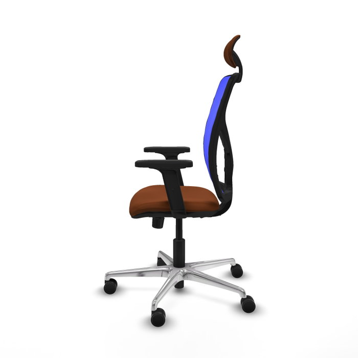 PIQUERAS Y CRESPO Silla de oficina Motilla con mecanismo Sincro, Marrón y Azul PIQUERAS Y CRESPO Silla de oficina Motilla con mecanismo Sincro, Marrón y Azul
