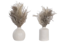 DKD Home Decor Planta de Flor Seca en Cerámica, Surtido de 2 Colores