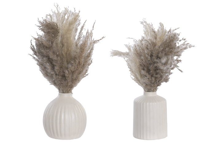 DKD Home Decor Planta de Flor Seca en Cerámica, Surtido de 2 Colores DKD Home Decor Planta de Flor Seca en Cerámica, Surtido de 2 Colores