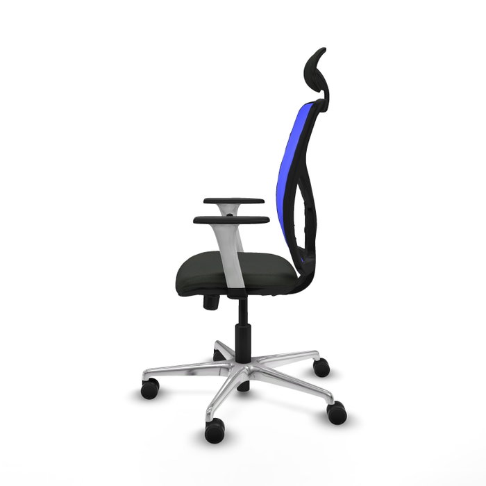 PIQUERAS Y CRESPO Silla de oficina Motilla con mecanismo Sincro/Traslack, Azul y Negro PIQUERAS Y CRESPO Silla de oficina Motilla con mecanismo Sincro/Traslack, Azul y Negro