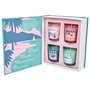 Home Deco Factory - Juego de 4 Velas Perfumadas, Colección Dolce Vita, Aromas Surtidos, 8h de Combustión