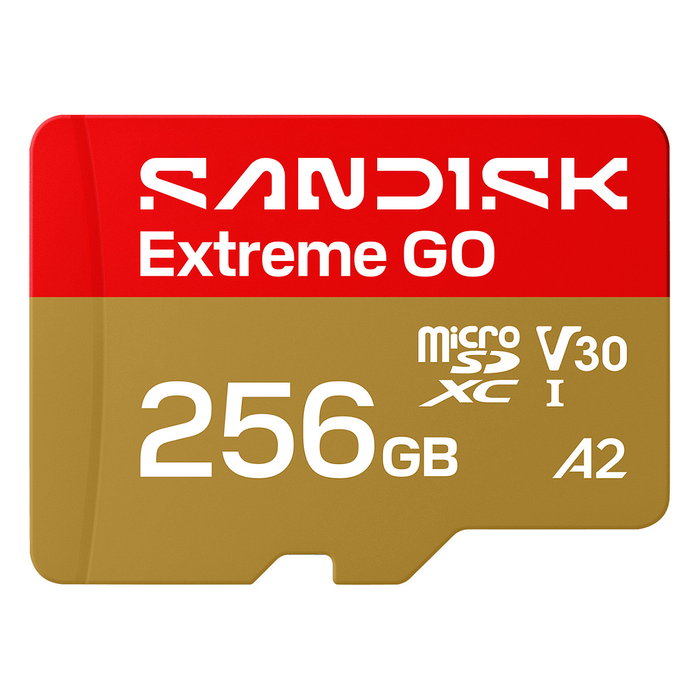 SanDisk Extreme GO 256 GB MicroSDXC