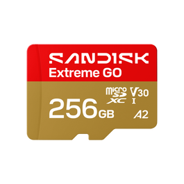 SanDisk Extreme GO 256 GB MicroSDXC UHS-I