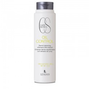 Lendan Champú Oil Control 300ml