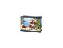 Sandimas AQUARIO AQUA 15 35x17,5x24,8cm 13L Cristal Filtro Ciano Tapa Protección