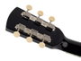 Guit. Jumbo Richwood Abeto Plateado