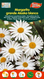 Semillas Fito Flores Margarita Grande de Alaska Blanca
