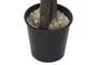 DKD Home Decor Árbol Ficus Verde de Madera y Poliéster (80x80x180 cm)