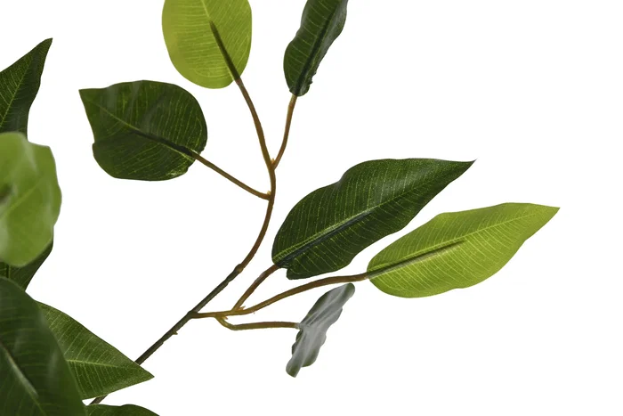 DKD Home Decor Árbol Ficus Verde de Madera y Poliéster (80x80x180 cm)