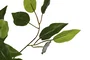 DKD Home Decor Árbol Ficus Verde de Madera y Poliéster (80x80x180 cm)