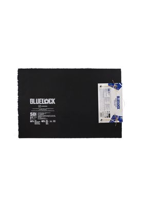 Blue lock logo 2 felpudo 60x40 cm blue lock