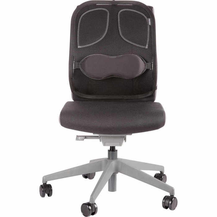 Fellowes Soporte Lumbar Mesh Professional Grafito