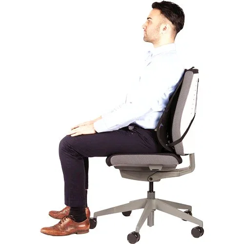 Fellowes Soporte Lumbar Mesh Professional Grafito