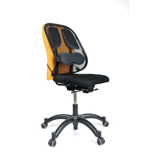 Fellowes Soporte Lumbar Mesh Professional Grafito
