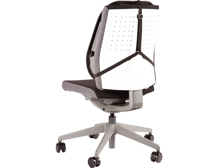 Fellowes Respaldo Ergonómico Mesh Professional Grafito