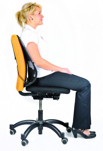Fellowes Soporte Lumbar Mesh Professional Grafito