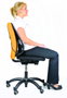 Fellowes Soporte Lumbar Mesh Professional Grafito
