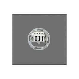 Rutenbeck Enchufe TAE 3x6 NFN Up 10210517 Blanco