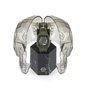 Philipp Plein PWVBA0223 Reloj Automático Verde