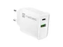 Natec Ribera Cargador de Pared USB 20W Power Delivery y Quick Charge 3.0 con 1 Puerto USB-A y 1 USB-C para Carga Rápida, Color Blanco, para Interiores, Alimentación CA