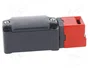 PIZZATO ELETTRICA FD 2093-M2 Interruptor de seguridad a llave