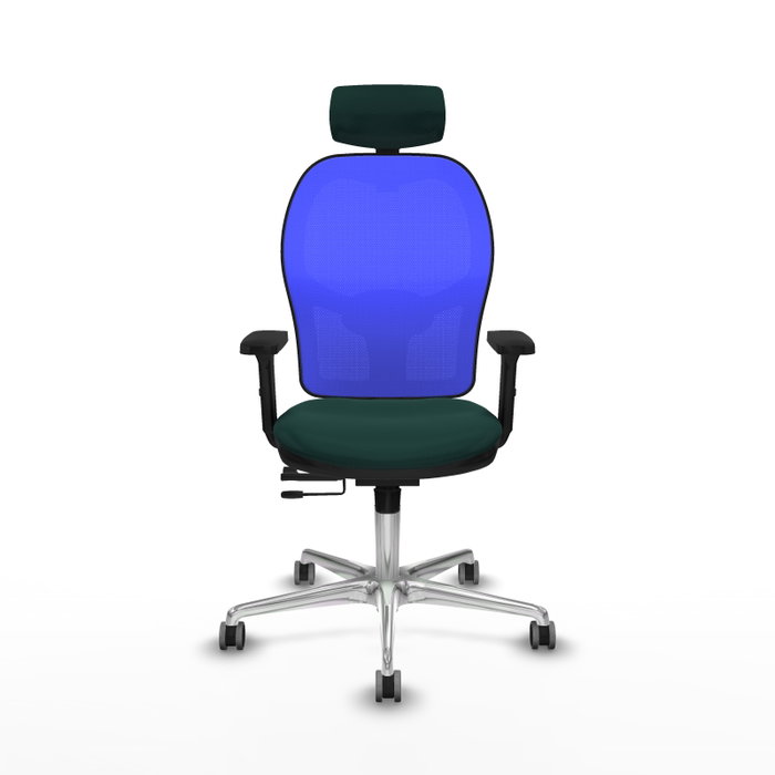 PIQUERAS Y CRESPO Silla de oficina Jorquera con mecanismo Sincro/Traslack Verde botella y Azul PIQUERAS Y CRESPO Silla de oficina Jorquera con mecanismo Sincro/Traslack Verde botella y Azul