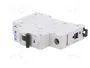 EATON ELECTRIC FAZ-C32/1 Interruptor magnetotérmico 32A 1P 15kA