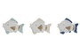 DKD Home Decor Figura Decorativa Pez Azul Marino y Azul Celeste Resina 6.5 x 15.5 x 21 cm (6 Unidades)