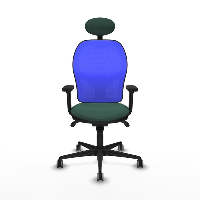 PIQUERAS Y CRESPO Silla de oficina Jorquera Verde botella y Azul PIQUERAS Y CRESPO Silla de oficina Jorquera Verde botella y Azul