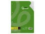 Liderpapel Recambio A4 100 Hojas 75gr Pauta 5 2.5mm Con Margen 4 Taladros