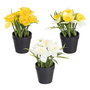 Planta 3/M Blanco-Amarillo Artificial 19 X 16 X 21 cm (Set de 6)