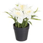Planta 3/M Blanco-Amarillo Artificial 19 X 16 X 21 cm (Set de 6)