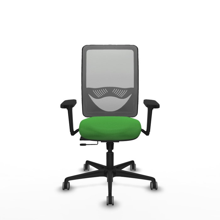 PIQUERAS Y CRESPO Silla de oficina Zulema con mecanismo Sincro/Traslack Verde y Gris PIQUERAS Y CRESPO Silla de oficina Zulema con mecanismo Sincro/Traslack Verde y Gris