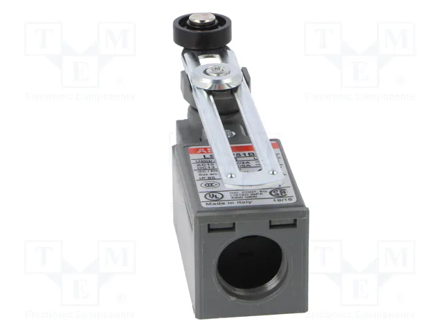 ABB Interruptor de fin de carrera NO + NC 10A PG11 ABB Interruptor de fin de carrera NO + NC 10A PG11