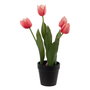 Planta Tulipanes Rosa Artificial 11 X 11 X 31 cm (Set de 3)