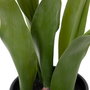 Planta Tulipanes Rosa Artificial 11 X 11 X 31 cm (Set de 3)