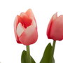 Planta Tulipanes Rosa Artificial 11 X 11 X 31 cm (Set de 3)