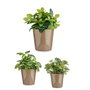Ibergarden Set de 3 Macetas de Cerámica Cónica Taupe