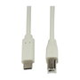 LogiLink Cable USB 2.0 Tipo-C a Tipo-B, 2 m, gris