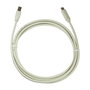 LogiLink Cable USB 2.0 Tipo-C a Tipo-B, 2 m, gris