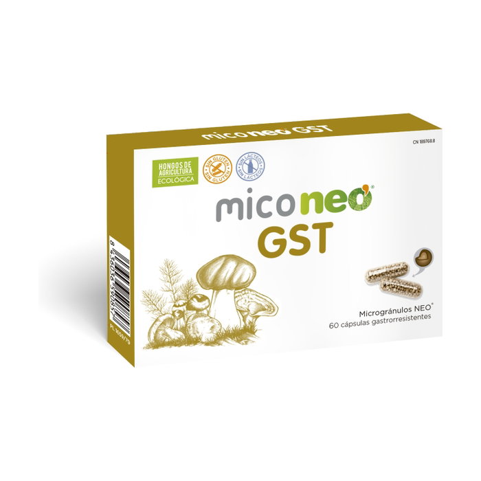 Neo Mico Neo GST 60 cápsulas Gastroresistentes Neo Mico Neo GST 60 cápsulas Gastroresistentes