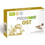 NEO MICO NEO GST 60 Cápsulas Gastroresistentes