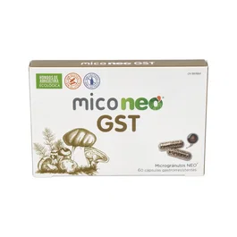 NEO MICO NEO GST 60 Cápsulas Gastroresistentes