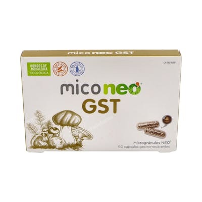NEO Mico Neo Gst 60 Cápsulas - Reishi, Melena de León, Shiitake y Cúrcuma para el Sistema Digestivo NEO Mico Neo Gst 60 Cápsulas - Reishi, Melena de León, Shiitake y Cúrcuma para el Sistema Digestivo