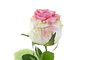 DKD Home Decor Flores de Poliéster Surtido de 4 Colores Rosa, Rojo, Amarillo y Blanco