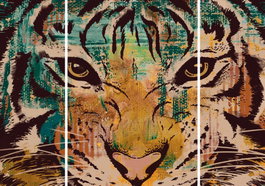 DKD Home Decor Set de 3 Cuadros Tigre Naranja y Verde