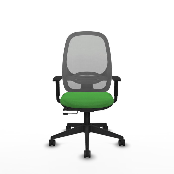 PIQUERAS Y CRESPO Silla de oficina Cilanco Verde y Gris PIQUERAS Y CRESPO Silla de oficina Cilanco Verde y Gris