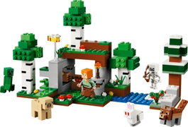 LEGO Minecraft Aventura de la Primera Noche 21593