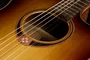 LAG Guitarra Acústica Auditorium A/E Cutaway Edición Limitada Bisel - Brown Shadow
