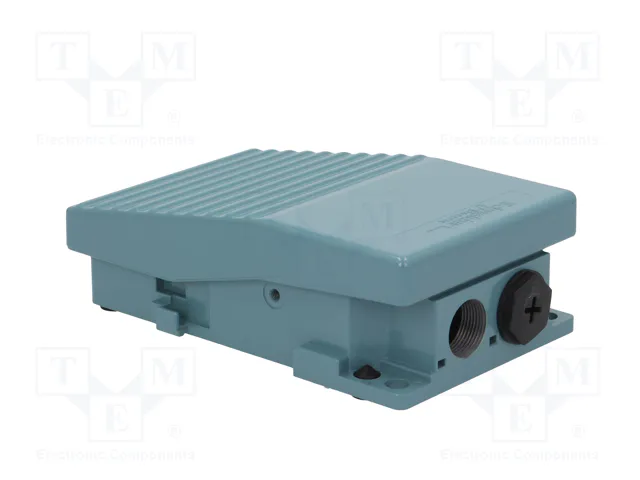 SCHNEIDER ELECTRIC Interruptor de pie azul IP66 SPST-NO x2 + SPST-NC x2